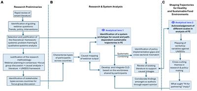 Transforming food environments: a global lens on challenges and opportunities for achieving healthy and sustainable diets for all